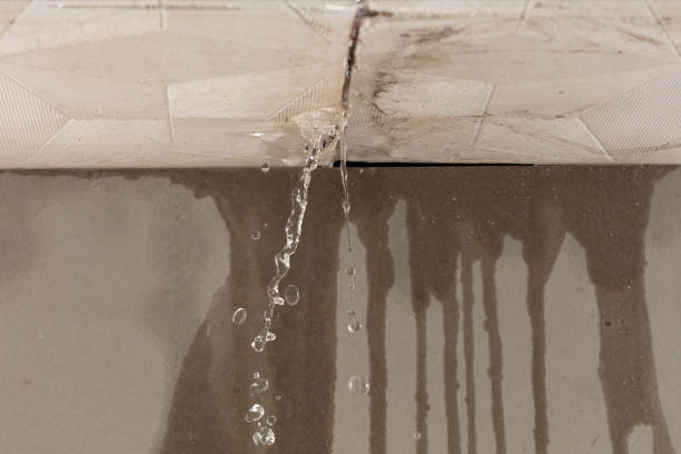 Professional Commercial Water Damage Restoration technician working in Seal Harbor, ME